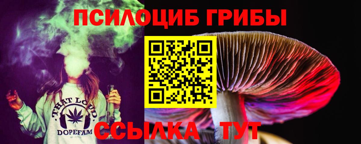 Галлюциногенные грибы Psilocybine cubensis  Вход с VPN  продажа наркотиков  Светлоград 