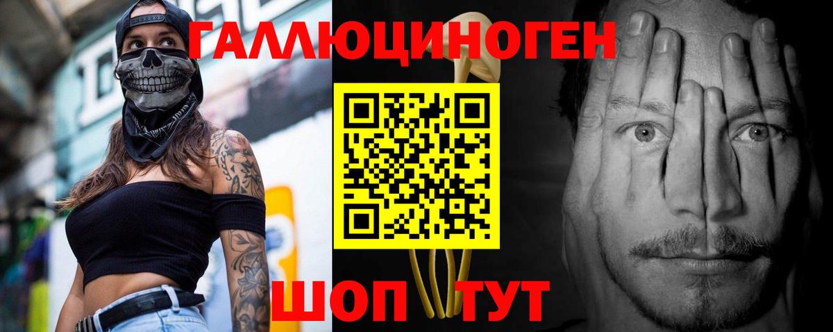 Галлюциногенные грибы Cubensis Светлоград